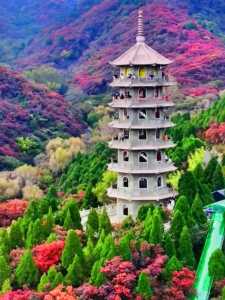 红叶谷景区介绍?红叶谷景区介绍资料? 第2张 红叶谷景区介绍?红叶谷景区介绍资料? 第2张