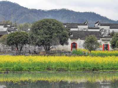 西递宏村自驾旅游攻略,西递宏村一日游攻略? 第6张 西递宏村自驾旅游攻略,西递宏村一日游攻略? 第6张