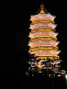 山东东营旅游景点大全,山东东营旅游景点大全景点排名? 第1张 山东东营旅游景点大全,山东东营旅游景点大全景点排名? 第1张