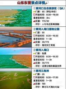 山东东营旅游景点大全,山东东营旅游景点大全景点排名? 第5张 山东东营旅游景点大全,山东东营旅游景点大全景点排名? 第5张
