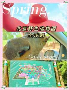 大兴野生动物园门票团购,大兴野生动物园门票攻略 第2张 大兴野生动物园门票团购,大兴野生动物园门票攻略 第2张