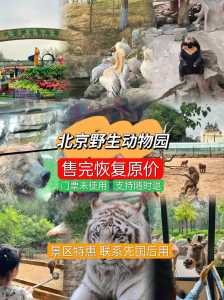 大兴野生动物园门票团购,大兴野生动物园门票攻略 第3张 大兴野生动物园门票团购,大兴野生动物园门票攻略 第3张