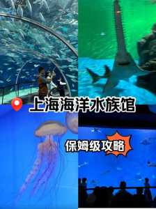上海海洋水族馆?上海海洋水族馆门票多少钱? 第1张 上海海洋水族馆?上海海洋水族馆门票多少钱? 第1张
