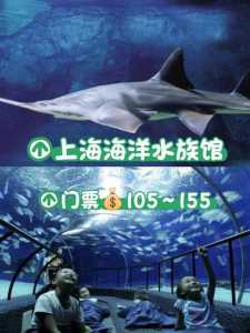 上海海洋水族馆?上海海洋水族馆门票多少钱? 第2张 上海海洋水族馆?上海海洋水族馆门票多少钱? 第2张