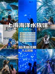 上海海洋水族馆?上海海洋水族馆门票多少钱? 第4张 上海海洋水族馆?上海海洋水族馆门票多少钱? 第4张