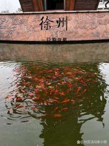 徐州旅游景点哪里好玩的地方?徐州旅游景点推荐? 第2张 徐州旅游景点哪里好玩的地方?徐州旅游景点推荐? 第2张