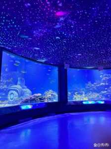 天津海昌极地海洋世界好玩吗?天津海昌极地海洋世界游玩时间? 第1张 天津海昌极地海洋世界好玩吗?天津海昌极地海洋世界游玩时间? 第1张