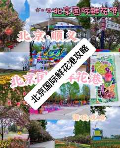 北京世界鲜花港门票费用?北京世界鲜花港门票费用查询? 第4张 北京世界鲜花港门票费用?北京世界鲜花港门票费用查询? 第4张