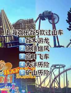 上海欢乐谷项目介绍，上海欢乐谷项目介绍视频  第2张