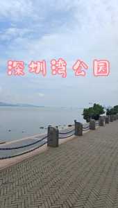 深圳最值得去的地方?深圳最值得去的地方有哪些? 第4张 深圳最值得去的地方?深圳最值得去的地方有哪些? 第4张