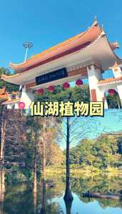 深圳最值得去的地方?深圳最值得去的地方有哪些? 第5张 深圳最值得去的地方?深圳最值得去的地方有哪些? 第5张