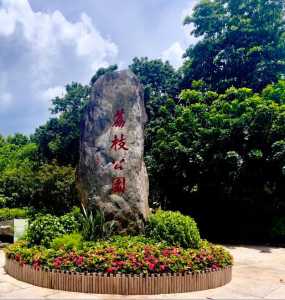 深圳前十最美公园,深圳10大景点免费? 第2张 深圳前十最美公园,深圳10大景点免费? 第2张