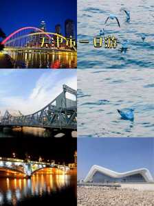 天津旅游信息网,天津旅游监管服务平台? 第1张 天津旅游信息网,天津旅游监管服务平台? 第1张