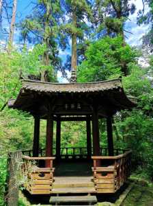 临安一日游最佳景点,临安一日游最佳景点风之谷? 第3张 临安一日游最佳景点,临安一日游最佳景点风之谷? 第3张
