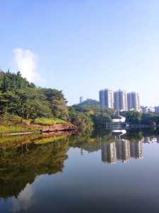 深圳园博园景点介绍?深圳园博园景点介绍2023年? 第4张 深圳园博园景点介绍?深圳园博园景点介绍2023年? 第4张