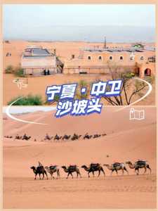 中卫沙坡头旅游攻略,中卫沙坡头旅游景点介绍 第3张 中卫沙坡头旅游攻略,中卫沙坡头旅游景点介绍 第3张