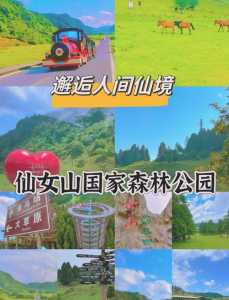仙女山门票多少钱一张,仙女山门票多少钱一张本地 第2张 仙女山门票多少钱一张,仙女山门票多少钱一张本地 第2张