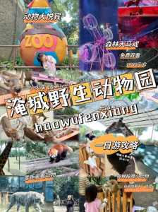 淹城野生动物园门票,淹城野生动物园门票包含小火车吗 第5张 淹城野生动物园门票,淹城野生动物园门票包含小火车吗 第5张