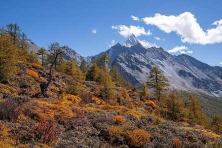 这个季节去哪里旅游比较好,辽宁省内这个季节去哪里旅游比较好? 第3张 这个季节去哪里旅游比较好,辽宁省内这个季节去哪里旅游比较好? 第3张