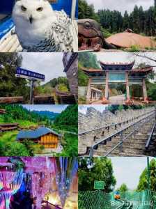 成都好玩的地方排名榜,成都好玩的地方排名榜携程旅行? 第3张 成都好玩的地方排名榜,成都好玩的地方排名榜携程旅行? 第3张
