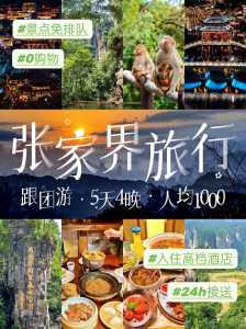 张家界正规的旅行社有哪几家,张家界旅行社排名前十名 第5张 张家界正规的旅行社有哪几家,张家界旅行社排名前十名 第5张