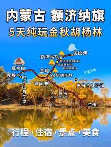 额济纳胡杨林最佳时间,额济纳胡杨林旅游攻略哪几天 第3张 额济纳胡杨林最佳时间,额济纳胡杨林旅游攻略哪几天 第3张