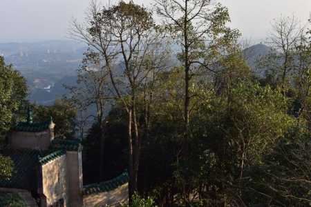 仙女山旅游攻略夏季,仙女山景区路线? 第5张 仙女山旅游攻略夏季,仙女山景区路线? 第5张