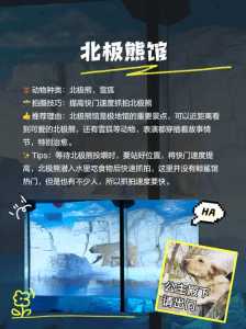 长隆欢乐世界路线图,长隆欢乐世界游园指南? 第1张 长隆欢乐世界路线图,长隆欢乐世界游园指南? 第1张