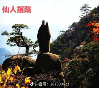 黄山奇石的风景,黄山奇石的风景图片 第6张 黄山奇石的风景,黄山奇石的风景图片 第6张