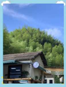 上海周边二日游，上海三日游攻略？  第2张