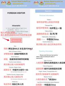马来西亚签证中心官方网站?马来西亚签证中心官方网站查询? 第5张 马来西亚签证中心官方网站?马来西亚签证中心官方网站查询? 第5张