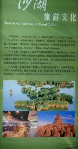 银川沙湖一日游攻略?宁夏银川沙湖一日游? 第2张 银川沙湖一日游攻略?宁夏银川沙湖一日游? 第2张