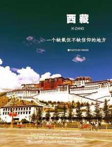 参观布达拉宫的禁忌,参观布达拉宫可以带什么进去? 第2张 参观布达拉宫的禁忌,参观布达拉宫可以带什么进去? 第2张