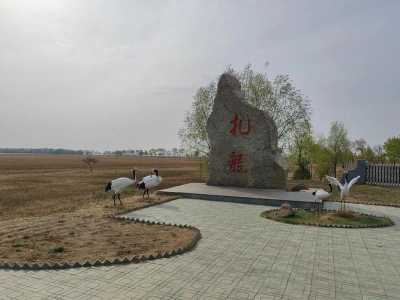 扎龙自然保护区门票,扎龙自然保护区门票退役军人优惠吗? 第3张 扎龙自然保护区门票,扎龙自然保护区门票退役军人优惠吗? 第3张