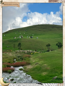 深圳周边游旅行社,深圳的旅行社哪家好? 第2张 深圳周边游旅行社,深圳的旅行社哪家好? 第2张