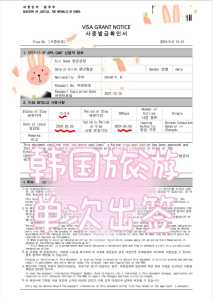去韩国需要办理什么手续?去韩国需要办理签证吗? 第1张 去韩国需要办理什么手续?去韩国需要办理签证吗? 第1张