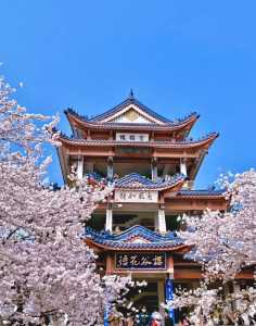 无锡好玩的免费景点?无锡有什么好玩的免费景点? 第3张 无锡好玩的免费景点?无锡有什么好玩的免费景点? 第3张