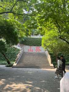 中山一日游必去的地方?中山一日游必去的地方免费? 第1张 中山一日游必去的地方?中山一日游必去的地方免费? 第1张