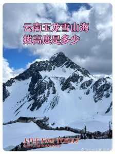 玉龙雪山游玩需要几个小时?玉龙雪山全程要玩多久? 第1张 玉龙雪山游玩需要几个小时?玉龙雪山全程要玩多久? 第1张