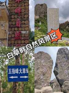 房山白草畔自然风景区,房山白草畔自然风景区开放了吗? 第1张 房山白草畔自然风景区,房山白草畔自然风景区开放了吗? 第1张