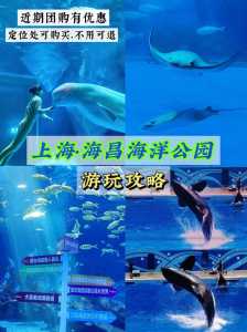 上海海昌海洋公园,上海海昌海洋公园营业时间 第1张 上海海昌海洋公园,上海海昌海洋公园营业时间 第1张