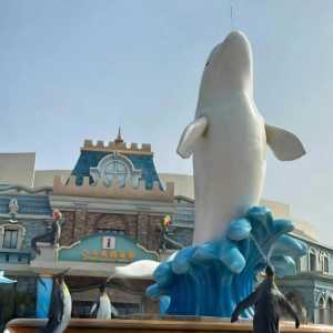 上海海昌海洋公园,上海海昌海洋公园营业时间 第3张 上海海昌海洋公园,上海海昌海洋公园营业时间 第3张
