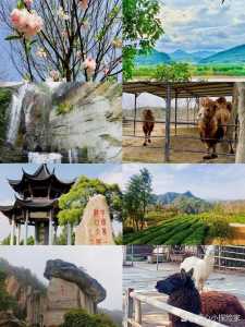 绍兴免费旅游景点名单?绍兴市免费旅游景点? 第5张 绍兴免费旅游景点名单?绍兴市免费旅游景点? 第5张