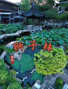 苏州狮子林简介?苏州狮子林好玩吗值得去吗? 第6张 苏州狮子林简介?苏州狮子林好玩吗值得去吗? 第6张