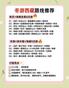 布达拉宫门票怎么预约，布达拉宫门票怎么预约?？  第6张