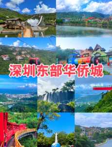 深圳东部华侨城一日游游玩攻略,深圳比较好三个海洋馆 第5张 深圳东部华侨城一日游游玩攻略,深圳比较好三个海洋馆 第5张