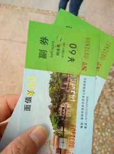 深圳海上田园门票，深圳海上田园门票包含哪些景点  第4张