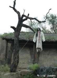 九寨沟最恐怖的地方,九寨沟很诡异? 第3张 九寨沟最恐怖的地方,九寨沟很诡异? 第3张