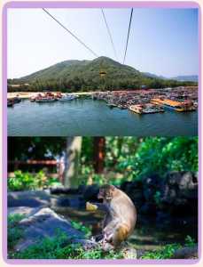 海南南湾猴岛好玩吗,南湾猴岛要门票吗? 第2张 海南南湾猴岛好玩吗,南湾猴岛要门票吗? 第2张