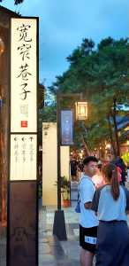 锦里和宽窄巷子哪个好玩,宽窄巷和锦里是一个地方吗 第2张 锦里和宽窄巷子哪个好玩,宽窄巷和锦里是一个地方吗 第2张